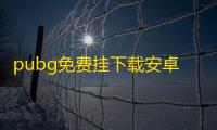 pubg免费挂下载安卓版，pubg挂+锁头+透视+锁血